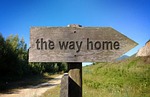 at-the-court-of-3218573_150-3218573 outside, sky, blue sky, blue, sign, signpost, nature, way, writing, signpost, signpost, signpost, signpost, signpost